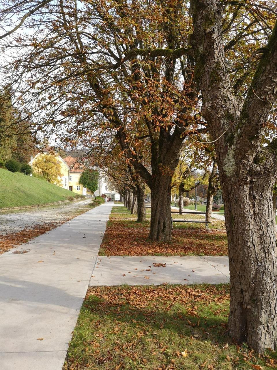 Apartments Soelek - Vila Golf Rogaška Slatina Eksteriør bilde